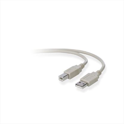 Belkin USB A/B 1.8m USB cable 70.9" (1.8 m) USB 2.0 USB B Gray1