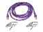 Belkin Cat. 6 Patch Cable 5ft Purple networking cable 59.1" (1.5 m)1