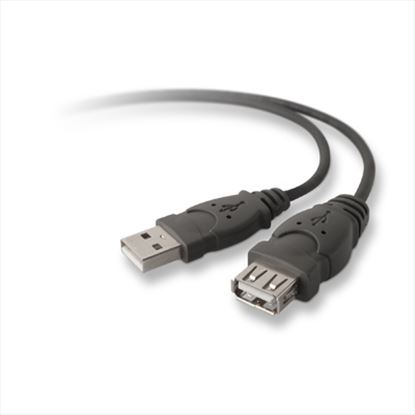 Belkin USB A/A 3 m USB cable 118.1" (3 m) USB 2.0 Black1