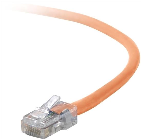 Belkin Cat5e, 25ft, 1 x RJ-45, 1 x RJ-45, Orange networking cable 300" (7.62 m)1