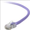 Belkin Cat5e, 25ft, 1 x RJ-45, 1 x RJ-45, Purple networking cable 300" (7.62 m)1