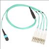 Belkin OM3 MTP - 4x LC, 2m fiber optic cable 78.7" (2 m) Turquoise1