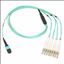 Belkin OM3 MTP - 4x LC, 2m fiber optic cable 78.7" (2 m) Turquoise1