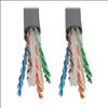 Tripp Lite N224-01K-GY networking cable Gray 12000" (304.8 m) Cat62