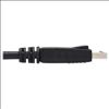 Tripp Lite P580-006 DisplayPort cable 72" (1.83 m) Black4