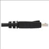 Tripp Lite P580-010 DisplayPort cable 120.1" (3.05 m) Black4