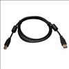 Tripp Lite U023-006 USB cable 72" (1.83 m) USB 2.0 USB A USB B Black1