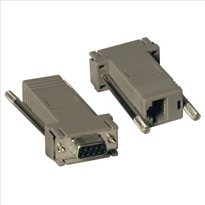 Tripp Lite P450-000 cable gender changer DB9 (Female) RJ45 (Female) Gray1