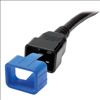 Tripp Lite PLC19BL cable lock Blue3
