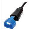 Tripp Lite PLC13BL cable lock Blue3