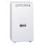 Picture of Tripp Lite SMX700HG uninterruptible power supply (UPS) 0.7 kVA 450 W 6 AC outlet(s)