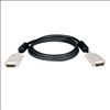 Tripp Lite P560-010 DVI cable 120.1" (3.05 m) DVI-D Black2