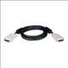 Tripp Lite P561-010 DVI cable 120.1" (3.05 m) DVI-D Black2