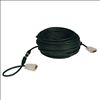 Tripp Lite P561-050 DVI cable 600" (15.2 m) DVI-D Black2