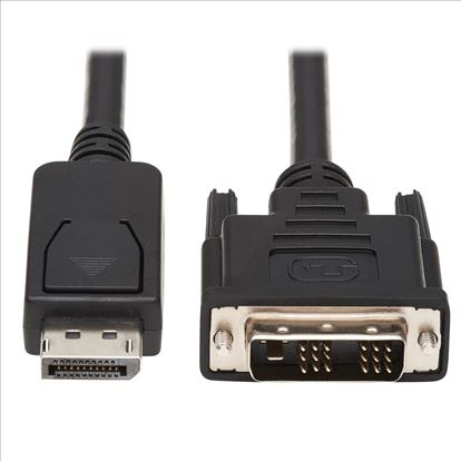Tripp Lite P581-006 video cable adapter 72" (1.83 m) DisplayPort DVI-D Black, White1