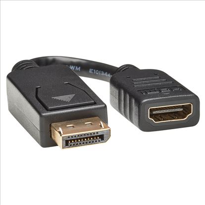 Tripp Lite P136-000 video cable adapter 5.91" (0.15 m) DisplayPort HDMI Black1