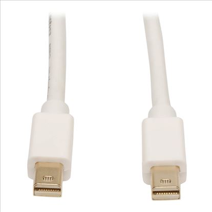 Tripp Lite P584-006 DisplayPort cable 70.9" (1.8 m) mini DisplayPort White1