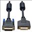 Tripp Lite P562-010 DVI cable 120.1" (3.05 m) DVI-D Black1