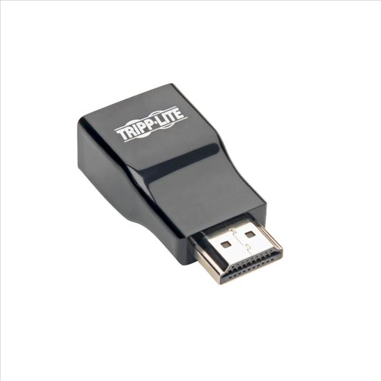 Tripp Lite P131-000 cable gender changer HDMI VGA Black1