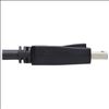 Tripp Lite P579-006 DisplayPort cable 70.9" (1.8 m) Black5