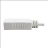 Tripp Lite P139-06N-DP-V2B video cable adapter 5.91" (0.15 m) White5