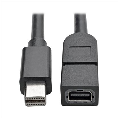 Tripp Lite P585-003 DisplayPort cable 35.4" (0.9 m) Mini DisplayPort Black1