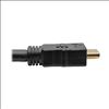 Tripp Lite P568-080-ACT HDMI cable 960.6" (24.4 m) HDMI Type A (Standard) Black3
