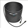 Tripp Lite P568-080-ACT HDMI cable 960.6" (24.4 m) HDMI Type A (Standard) Black4