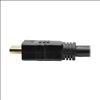 Tripp Lite P568-080-ACT HDMI cable 960.6" (24.4 m) HDMI Type A (Standard) Black5