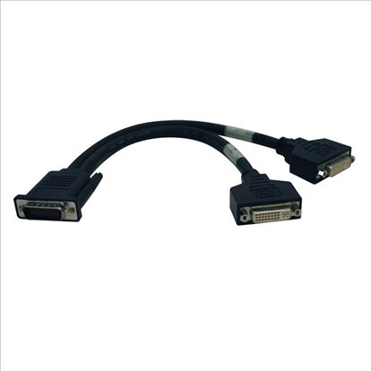 Tripp Lite P576-001 video cable adapter 11.8" (0.3 m) DMS 2 x DVI Black1