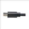 Tripp Lite P586-020-HD-V2A video cable adapter 240.2" (6.1 m) MINI DISPLAYPORT HDMI Black4