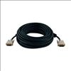 Tripp Lite P560-100 DVI cable 1196.9" (30.4 m) DVI-D Black2