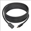 Tripp Lite P585-010 DisplayPort cable 118.1" (3 m) Mini DisplayPort Black2