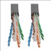 Tripp Lite N222-01K-GY networking cable Gray 12000" (304.8 m) Cat62