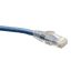 Tripp Lite N202-075-BL networking cable Blue 900" (22.9 m) Cat61
