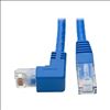 Tripp Lite N204-003-BL-DN networking cable Blue 35.8" (0.91 m) Cat62