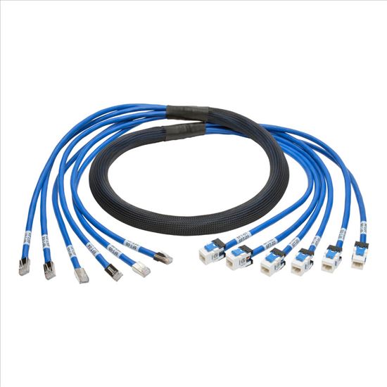 Tripp Lite Cat6/Cat6a,6 ft networking cable Blue 72" (1.83 m)1