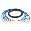 Tripp Lite Cat6/Cat6a, 6ft networking cable Blue 72" (1.83 m)1