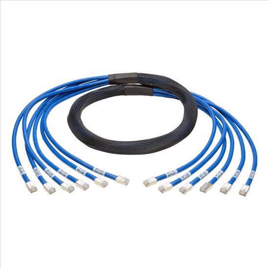 Tripp Lite Cat6/Cat6a, 6ft networking cable Blue 72" (1.83 m)1