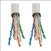 Tripp Lite N224-01K-WH networking cable White 12000" (304.8 m) Cat6 U/UTP (UTP)2