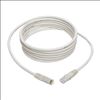 Tripp Lite N200-010-WH networking cable White 118.1" (3 m) Cat6 U/UTP (UTP)2