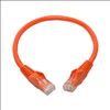 Tripp Lite N201-001-OR networking cable Orange 11.8" (0.3 m) Cat6 U/UTP (UTP)3