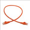 Tripp Lite N201-002-OR networking cable Orange 24" (0.61 m) Cat6 U/UTP (UTP)2