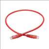 Tripp Lite N200-002-RD networking cable Red 24" (0.61 m) Cat6 U/UTP (UTP)2