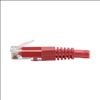 Tripp Lite N200-002-RD networking cable Red 24" (0.61 m) Cat6 U/UTP (UTP)4