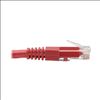 Tripp Lite N200-002-RD networking cable Red 24" (0.61 m) Cat6 U/UTP (UTP)7