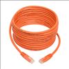 Tripp Lite N200-015-OR networking cable Orange 179.9" (4.57 m) Cat6 U/UTP (UTP)3