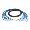 Tripp Lite Cat6/Cat6a, 10ft networking cable Blue 120.1" (3.05 m)1