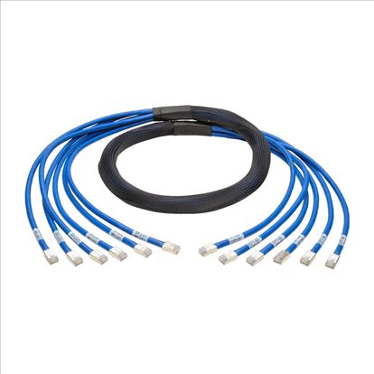 Tripp Lite Cat6/Cat6a, 10ft networking cable Blue 120.1" (3.05 m)1