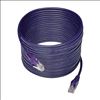 Tripp Lite N001-025-PU networking cable Purple 299.2" (7.6 m) Cat5e U/UTP (UTP)4